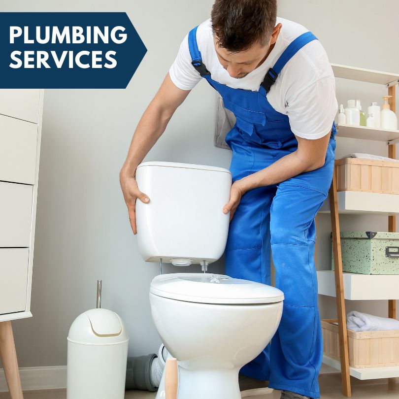 Plumbing Company in Lodi, NY